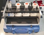 Basic orbital shaker